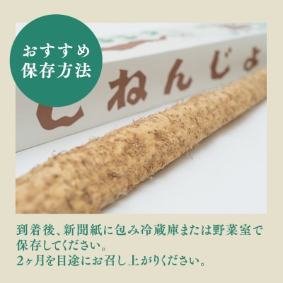 碇ヶ関産　自然薯1本