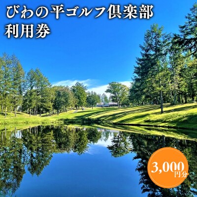 びわの平ゴルフ倶楽部利用券3,000円分