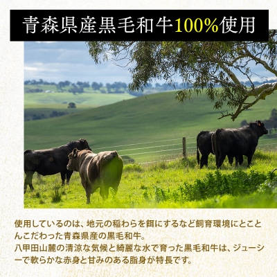 トマト煮込みハンバーグ160g×5 【平川市産原料使用】