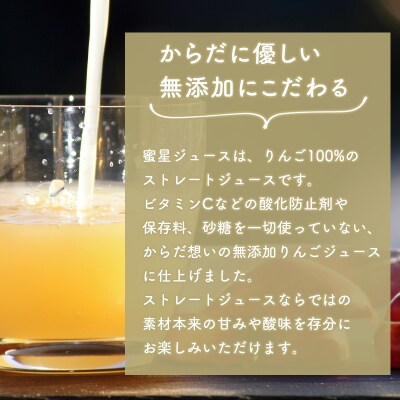 田中農園 100年の歴史 蜜星ジュース 1L×3本【青森りんご・りんごジュース】