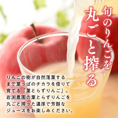 葉とらずりんごジュース  1Lx4本&ピクトグラム柄コースター4枚セット【青森県 平川市 岩渕農園】