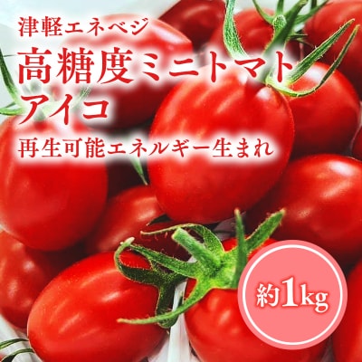 6月以降順次発送　「高糖度ミニトマト(アイコ)」約1kg 再生可能エネルギー生まれ