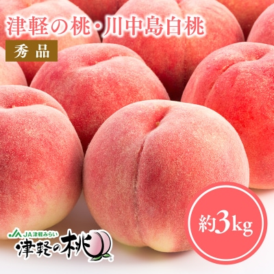 【8月下旬～9月中旬発送予定】津軽の桃　川中島白桃約3kg