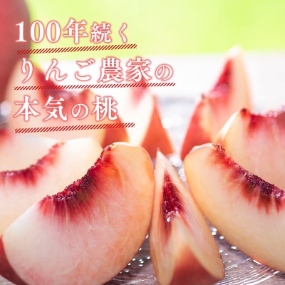 【2025年産 先行受付】【品種おまかせ:8月中旬～9月発送予定】元祖のこだわり桃 約3kg