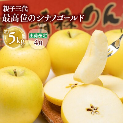 【4月発送】  親子三代最高位のシナノゴールド約5kg