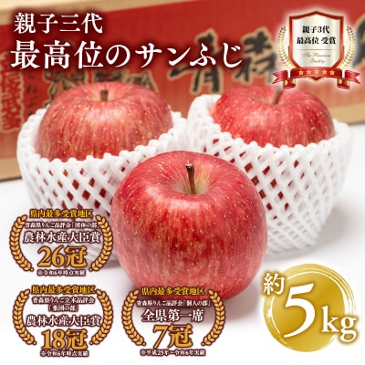 【1月発送】 親子三代最高位のサンふじ約5kg【平川市広船産りんご】