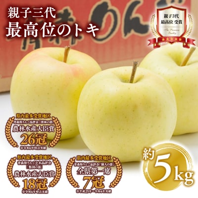 【10月発送】親子三代最高位のトキ約5kg【全国ふじコンテスト最高賞受賞農園・平川市広船産りんご】