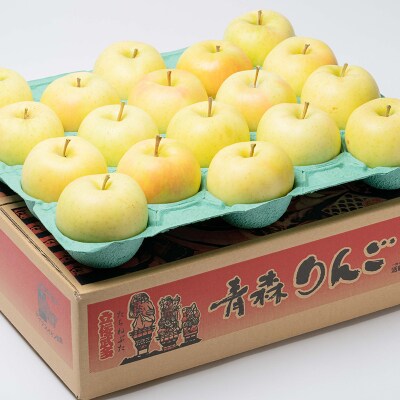 【10月発送】親子三代最高位のトキ約5kg【全国ふじコンテスト最高賞受賞農園・平川市広船産りんご】