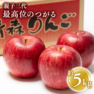 【9月発送】 親子三代最高位のつがる約5kg【平川市広船産りんご】