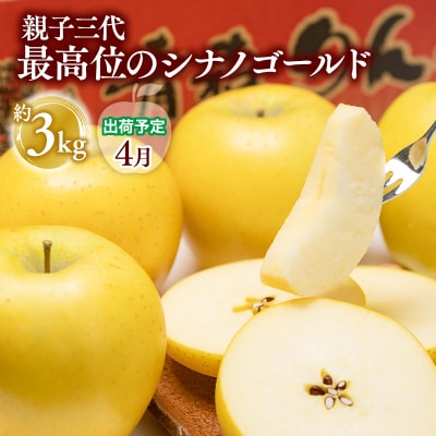 【4月発送】  親子三代最高位のシナノゴールド約3kg【全国ふじコンテスト最高賞受賞農園・平川市広船
