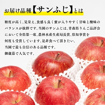 【1月発送】 親子三代最高位のサンふじ 約3kg【平川市広船産りんご】