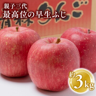 【10月発送】 親子三代最高位の早生ふじ 約3kg【平川市広船産りんご】