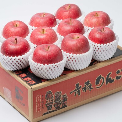 【10月発送】 親子三代最高位の早生ふじ 約3kg【平川市広船産りんご】