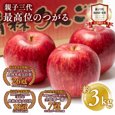 【9月発送】 親子三代最高位のつがる 約3kg【平川市広船産りんご】