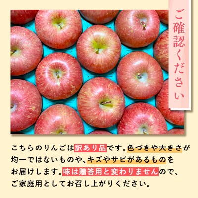 1～2月発送 訳あり 家庭用サンふじ約5kg【青森県平川市産・青森りんご】