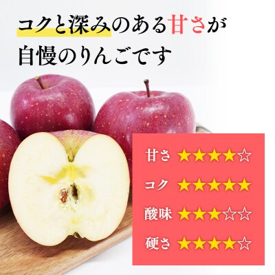【令和8年産先行受付】11月発送 贈答規格サンふじ約3kg【青森県平川市産・青森りんご】