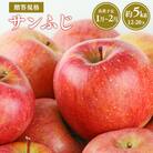【令和7年産先行受付】1～2月発送 贈答規格サンふじ約5kg【青森県平川市産・青森りんご】