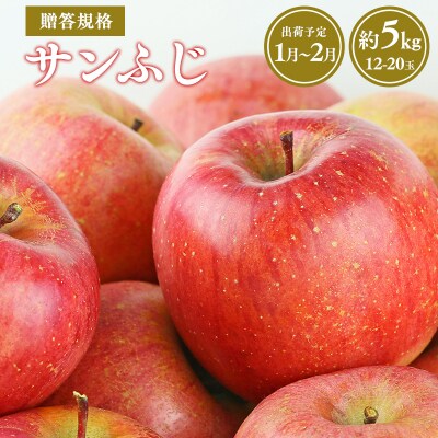 【令和7年産先行受付】1～2月発送 贈答規格サンふじ約5kg【青森県平川市産・青森りんご】