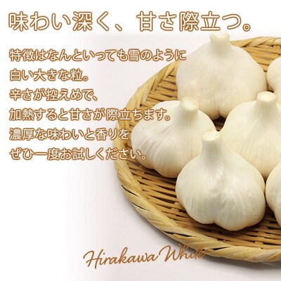 【青森県平川市小和森産】平川ホワイト Lサイズ 約3kg