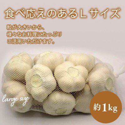 【青森県平川市小和森産】平川ホワイト Lサイズ約1kg