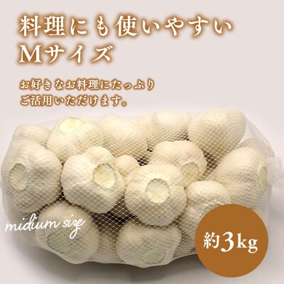 【青森県平川市小和森産】平川ホワイト Mサイズ 約3kg