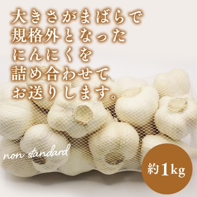 【青森県平川市小和森産】平川ホワイト 訳あり(規格外)約1kg
