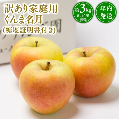 年内発送 【訳あり】家庭用ぐんま名月約3kg(糖度証明書付き) 【那由多のりんご園・平川市産】
