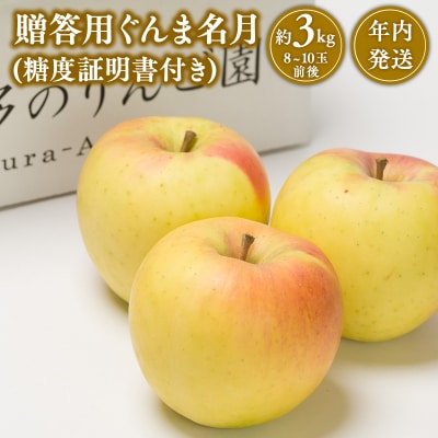 【11月～12月発送】 贈答用ぐんま名月約3kg(糖度証明書付き) 【那由多のりんご園・平川市産】