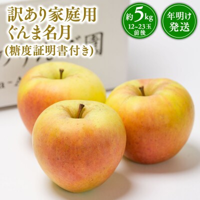 【訳あり】家庭用ぐんま名月約5kg(糖度証明書付き) 【那由多のりんご園・平川市産】