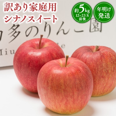 年明け発送 【訳あり】家庭用 シナノスイート 約5kg【那由多のりんご園・平川市産】