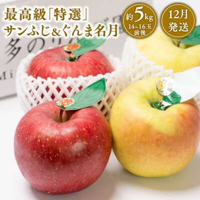 12月発送 「特選」サンふじとぐんま名月詰合せ約5kg(糖度証明書付き)【那由多のりんご園】