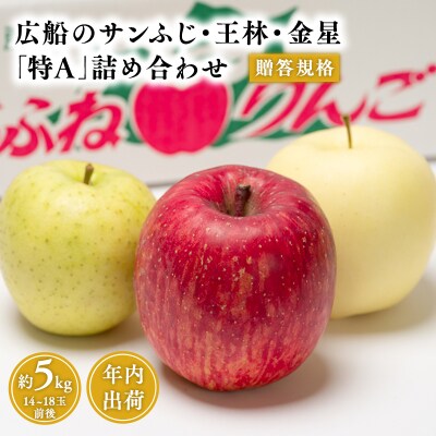 年内 贈答規格 広船のサンふじ・王林・金星約5kg詰合せ「特A」