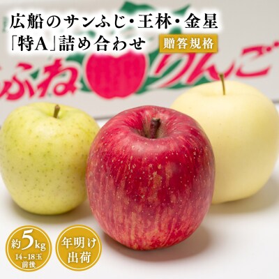 年明け 贈答規格 広船のサンふじ・王林・金星約5kg詰合せ「特A」