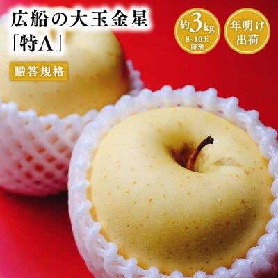 年明け 贈答規格 広船の大玉金星約3kg「特A」