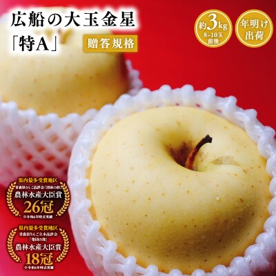 年明け 贈答規格 広船の大玉金星約3kg「特A」
