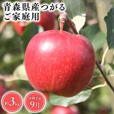 9月発送　【訳あり】家庭用つがる3kg　【そと川りんご園・9月・りんご・つがる・3kg】