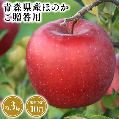 10月発送　贈答用ほのか3kg　【そと川りんご園・9月・りんご・ほのか・3kg】