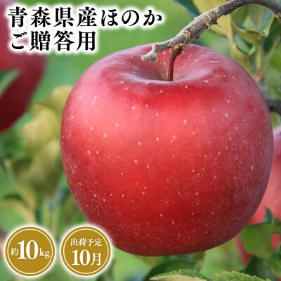 10月発送　贈答用ほのか10kg　【そと川りんご園・10月・りんご・ほのか・10kg】