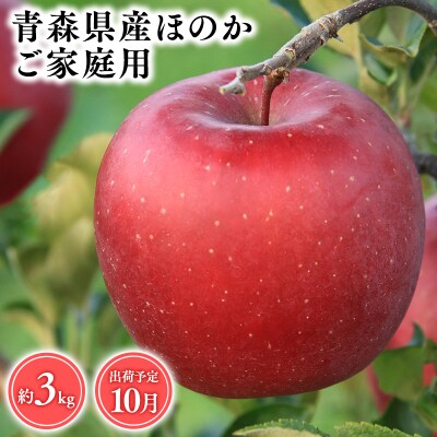 10月発送　【訳あり】家庭用ほのか3kg　【そと川りんご園・10月・りんご・ほのか・3kg】