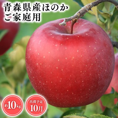 10月発送　【訳あり】家庭用ほのか10kg　【そと川りんご園・10月・りんご・ほのか・10kg】