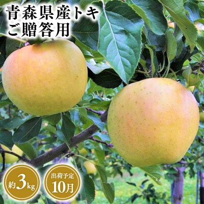 10月発送　贈答用トキ3kg　【そと川りんご園・10月・りんご・トキ・3kg】
