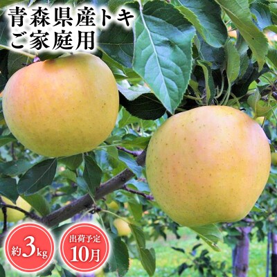 10月発送　【訳あり】家庭用トキ3kg　【そと川りんご園・10月・りんご・トキ・3kg】