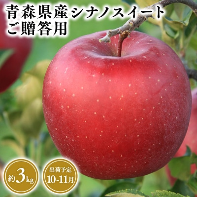 10月・11月発送　贈答用シナノスイート3kg　【そと川りんご園・10月・11月・りんご】