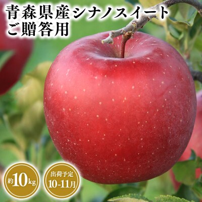 10月・11月発送　贈答用シナノスイート10kg　【そと川りんご園・10月・11月・りんご】