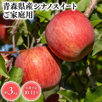 10月・11月発送　【訳あり】家庭用シナノスイート3kg　【そと川りんご園・りんご】