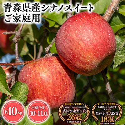 10月・11月発送 【訳あり】家庭用シナノスイート10kg 【そと川りんご園・りんご】
