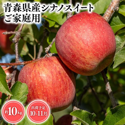 10月・11月発送　【訳あり】家庭用シナノスイート10kg　【そと川りんご園・りんご】