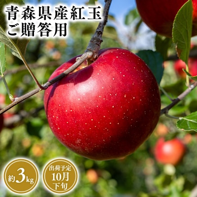 10月発送　贈答用紅玉3kg　【そと川りんご園・10月・りんご・紅玉・3kg】