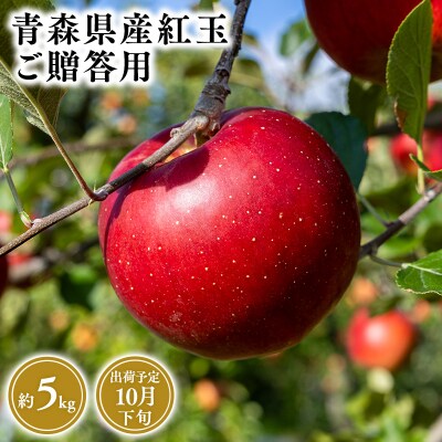 10月発送　贈答用紅玉5kg　【そと川りんご園・10月・りんご・紅玉・5kg】