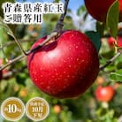 10月発送　贈答用紅玉10kg　【そと川りんご園・10月・りんご・紅玉・10kg】